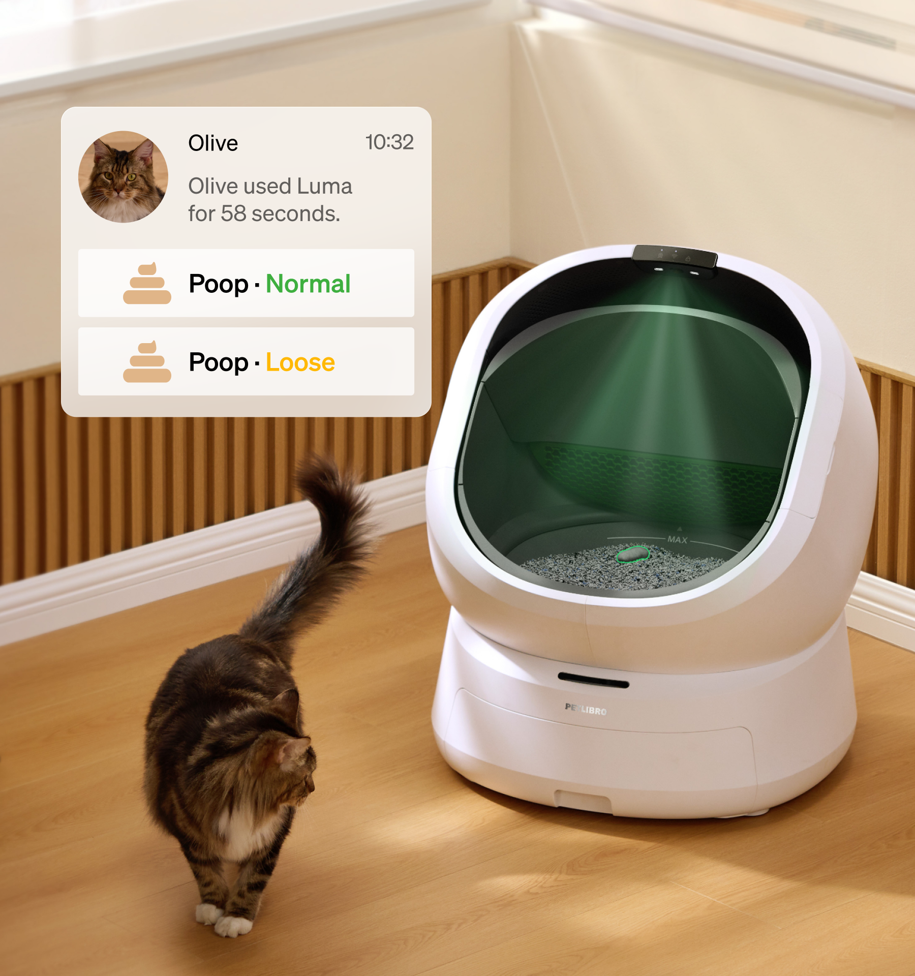 Luma Smart Litter Box with Wet Feeder