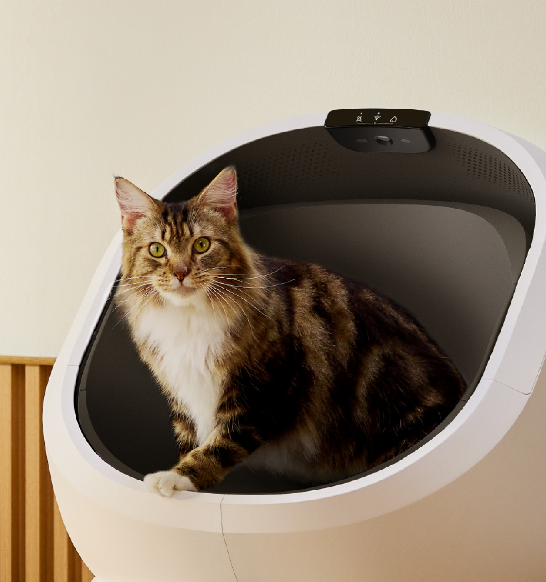 Luma Smart Litter Box with Fountain