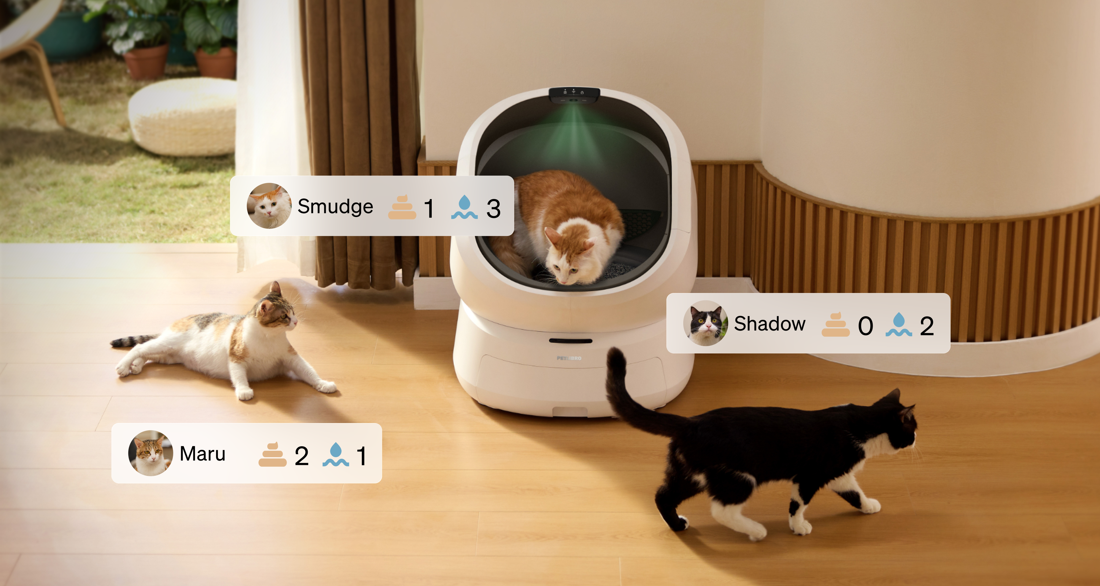 Luma Smart Litter Box with gift