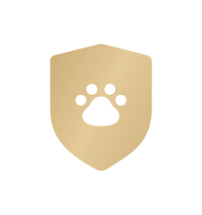 Petlibro Care