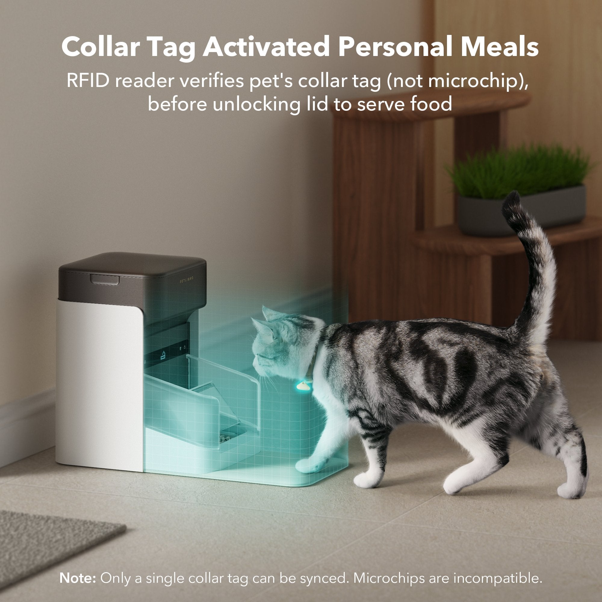 One RFID Smart Feeder for pet