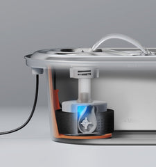 Stainless Steel/Rainbow Replacement Pump